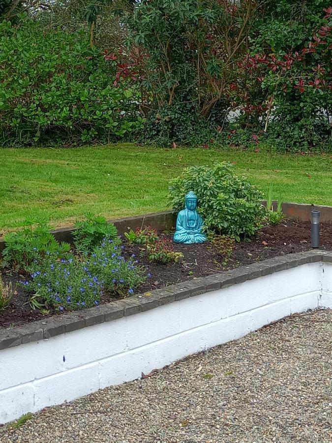 Bed and Breakfast Applelea House à Rosslare Harbour Extérieur photo